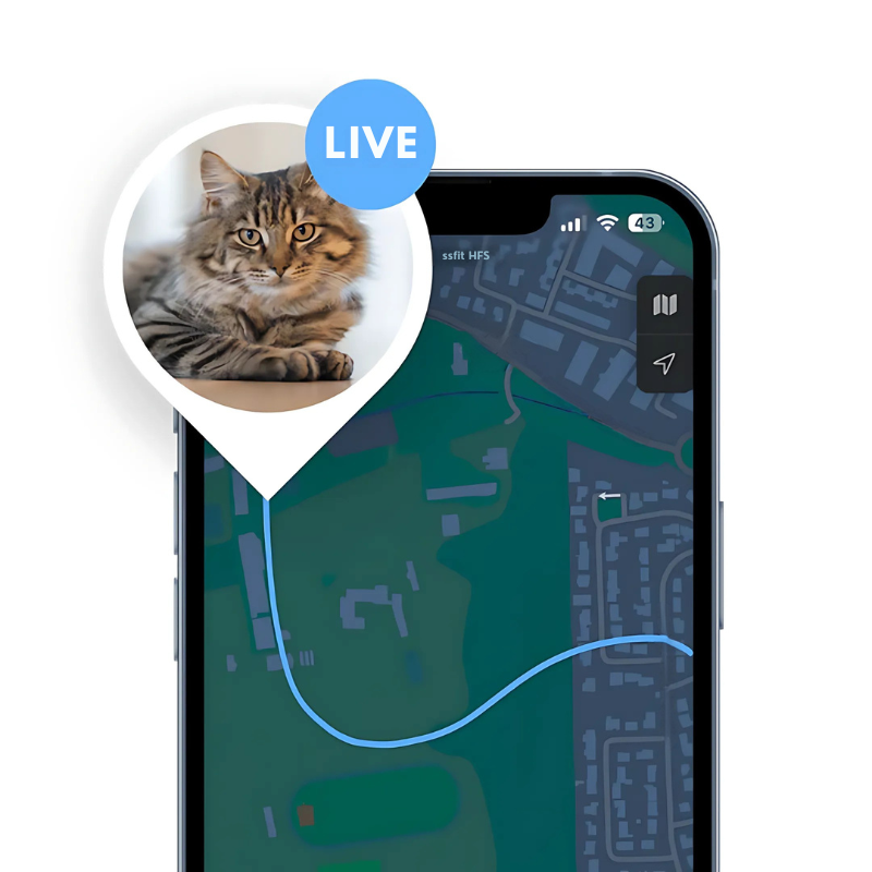 PawTrack™ | GPS-Haustier-Tracker mit reflektierendem Nylonhalsband